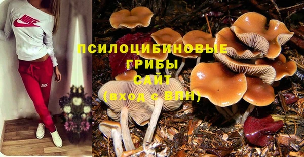 COCAINE Алексеевка