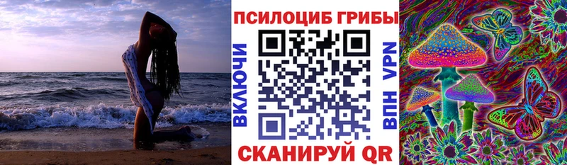 кракен вход  закладка  Чусовой  Псилоцибиновые грибы прущие грибы 