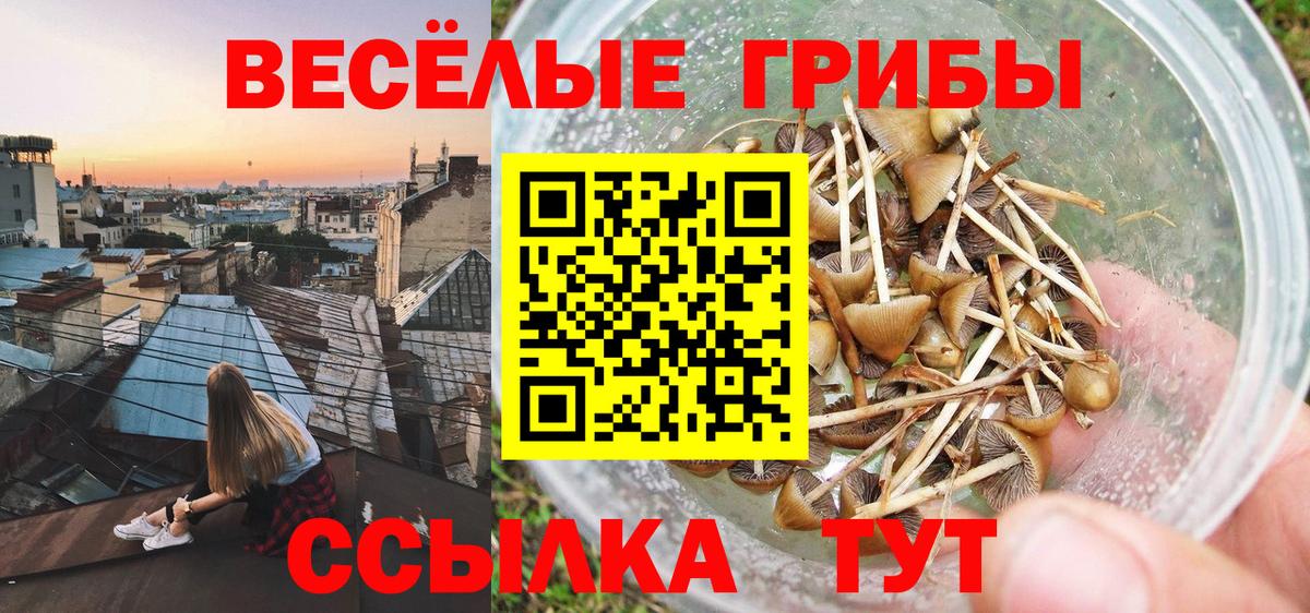 Чусовой  Галлюциногенные грибы мухоморы  Вход с VPN 