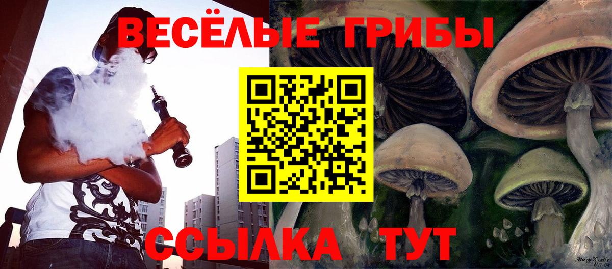 Галлюциногенные грибы Psilocybe Чусовой